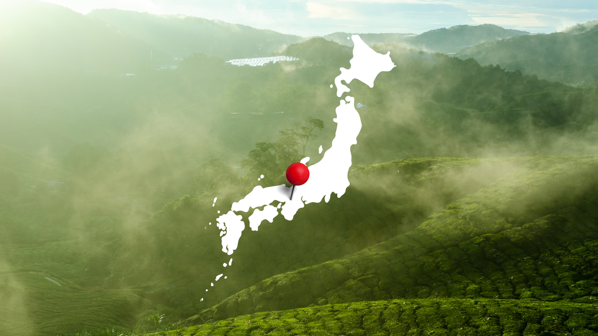 Kyoto tea fields with a map of Japan