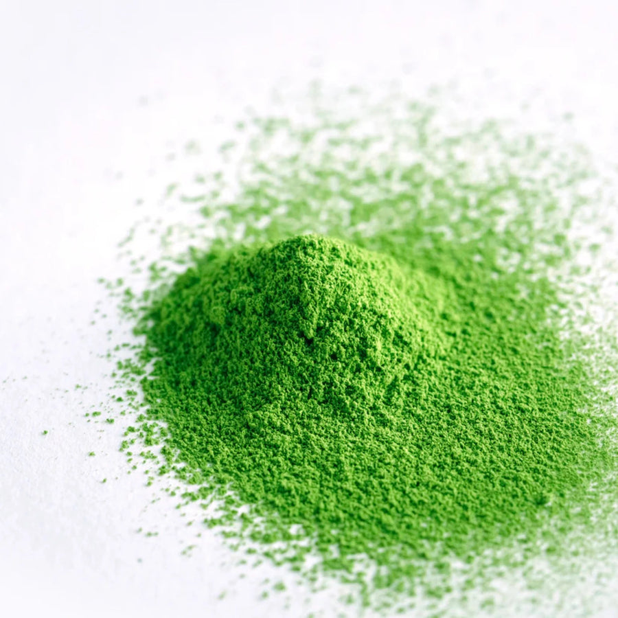 Pile of stone-milled Goko × Samidori Uji matcha powder on white, vivid emerald green close-up.