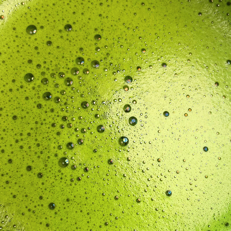 Close-up of whisked Organic Uji Matcha Platinum Blend with vibrant green color and fine foam bubbles on the surface