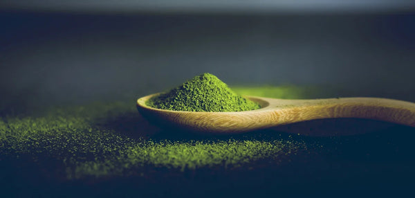 Matcha powder on a wooden spoon on  dark surface highlighting its green color