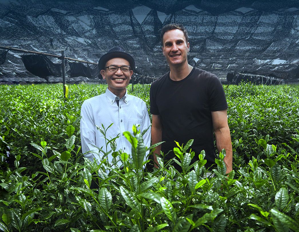 Premium Health Japan founder with the owner of a matcha tea farm in the tea field 
