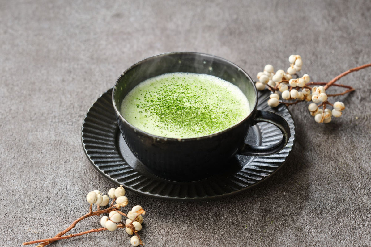 Hot matcha latte dusted with matcha powder in a black ceramic cup and saucer on a gray stone surface with dried white berries