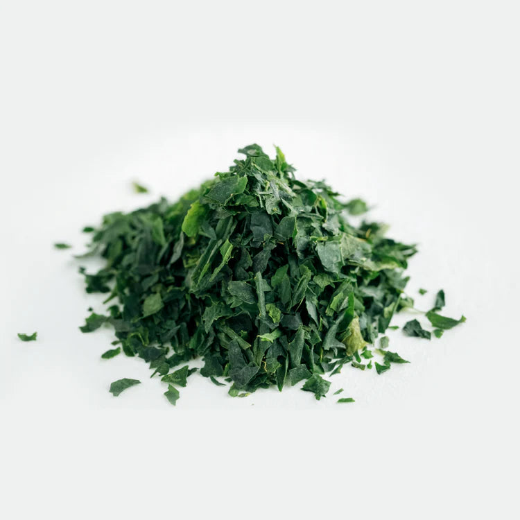 Finished tencha leaves after veins are removed, showing the light, fluffy texture and deep green colour used for ceremonial matcha production.