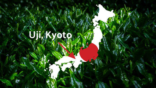 Uji Kyoto highlighted on a Japan map over fresh tea leaves, showing the region known for premium Uji matcha