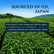 Uji, Kyoto tea fields — source of Premium Health Japan ceremonial grade matcha, carefully selected and traditionally crafted