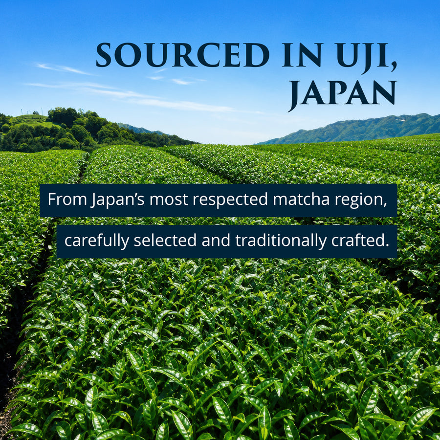 Uji, Kyoto tea fields — source of Premium Health Japan ceremonial grade matcha, carefully selected and traditionally crafted
